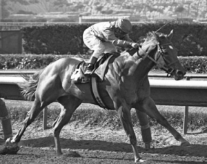 History of dizzying betting winnings